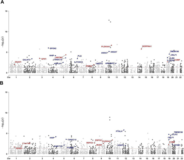 FIGURE 4
