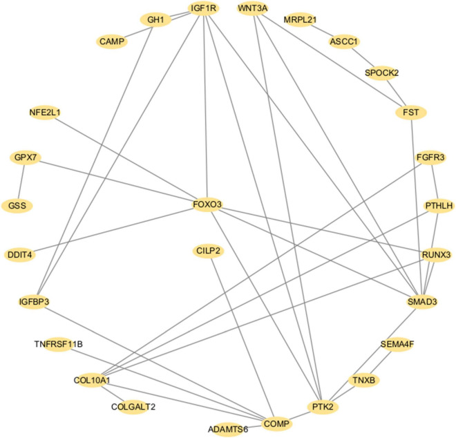 FIGURE 6