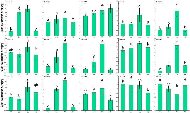 Figure 2