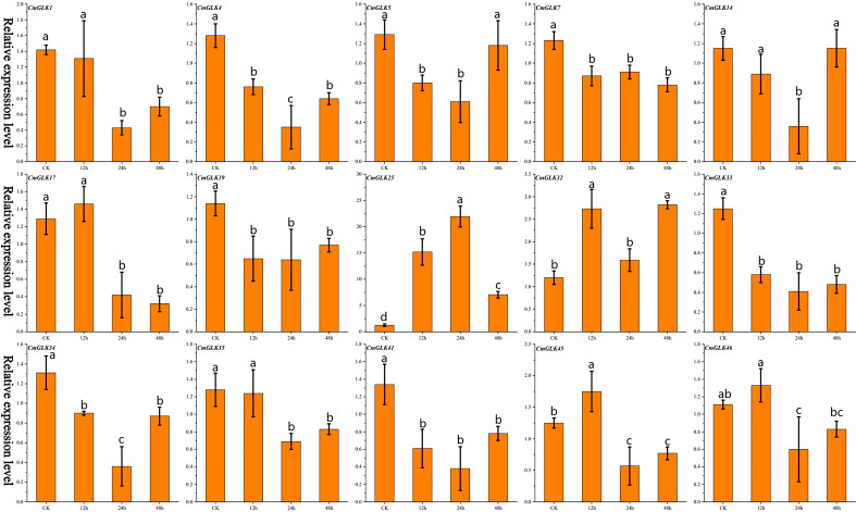 Figure 3