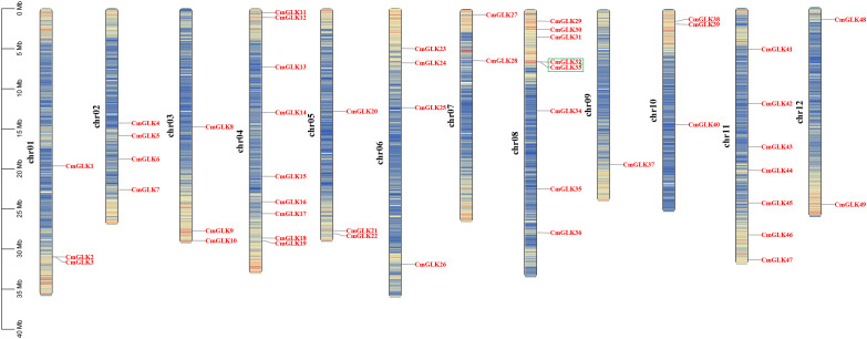 Figure 5