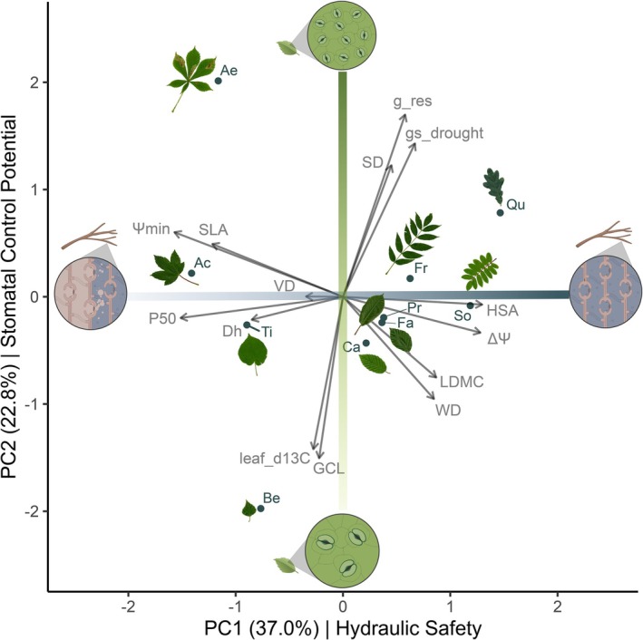 FIGURE 2