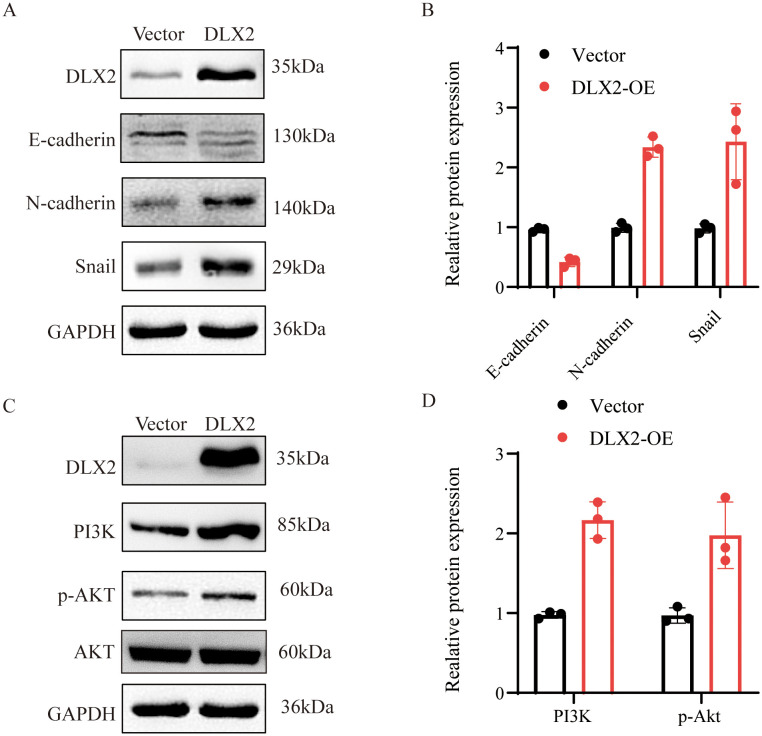 Figure 7