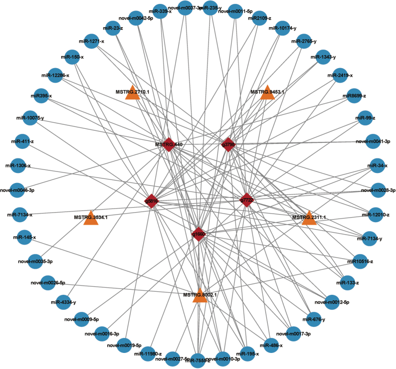 Figure 14