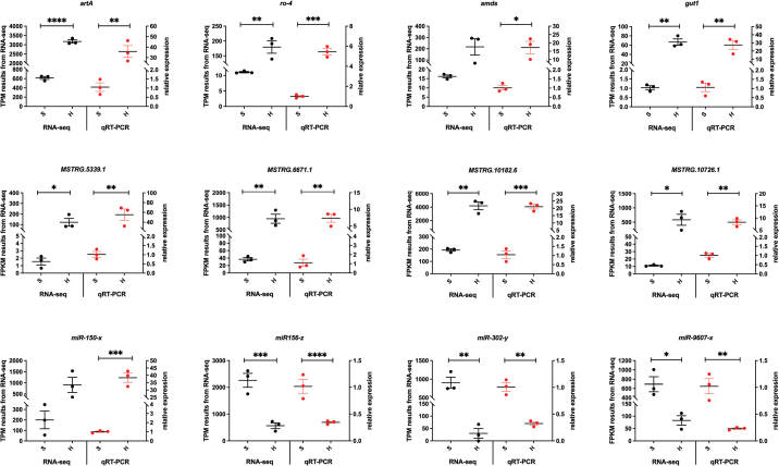 Figure 16