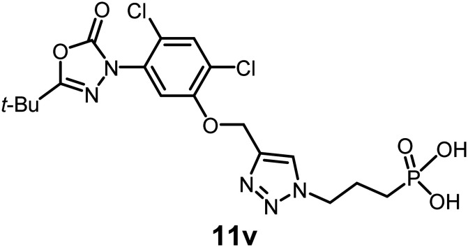 Figure 19