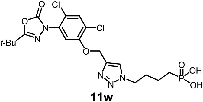Figure 20