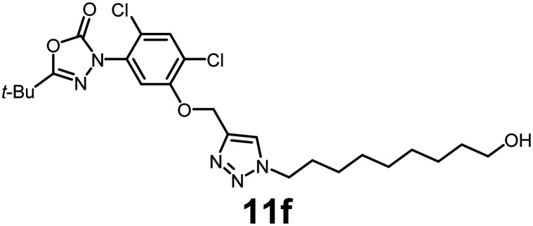 Figure 24