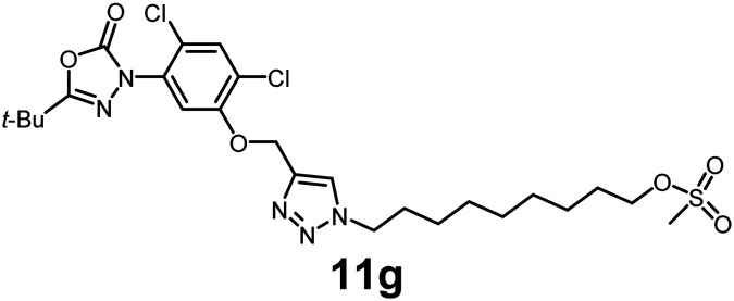 Figure 25