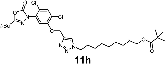 Figure 26