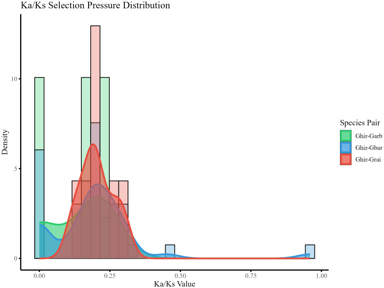 Figure 5