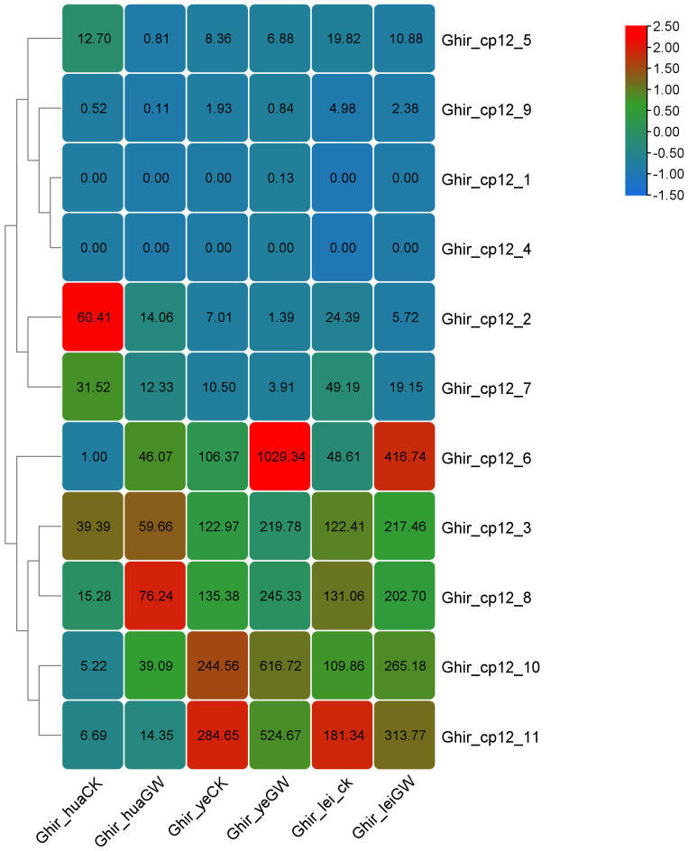 Figure 7