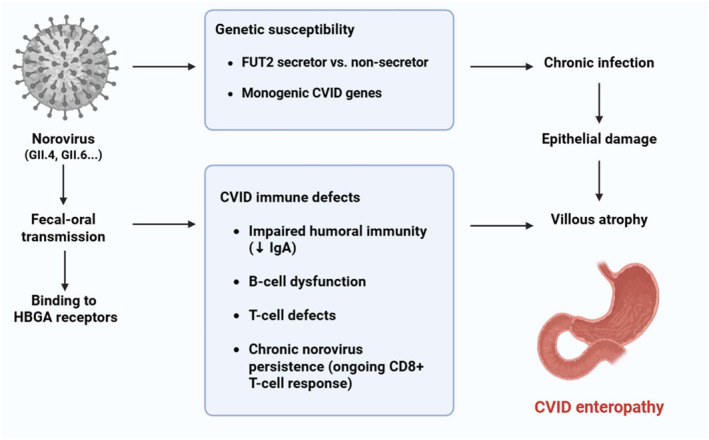 FIGURE 1