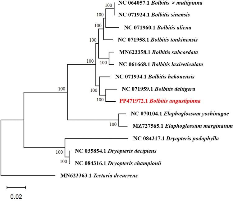 Figure 2