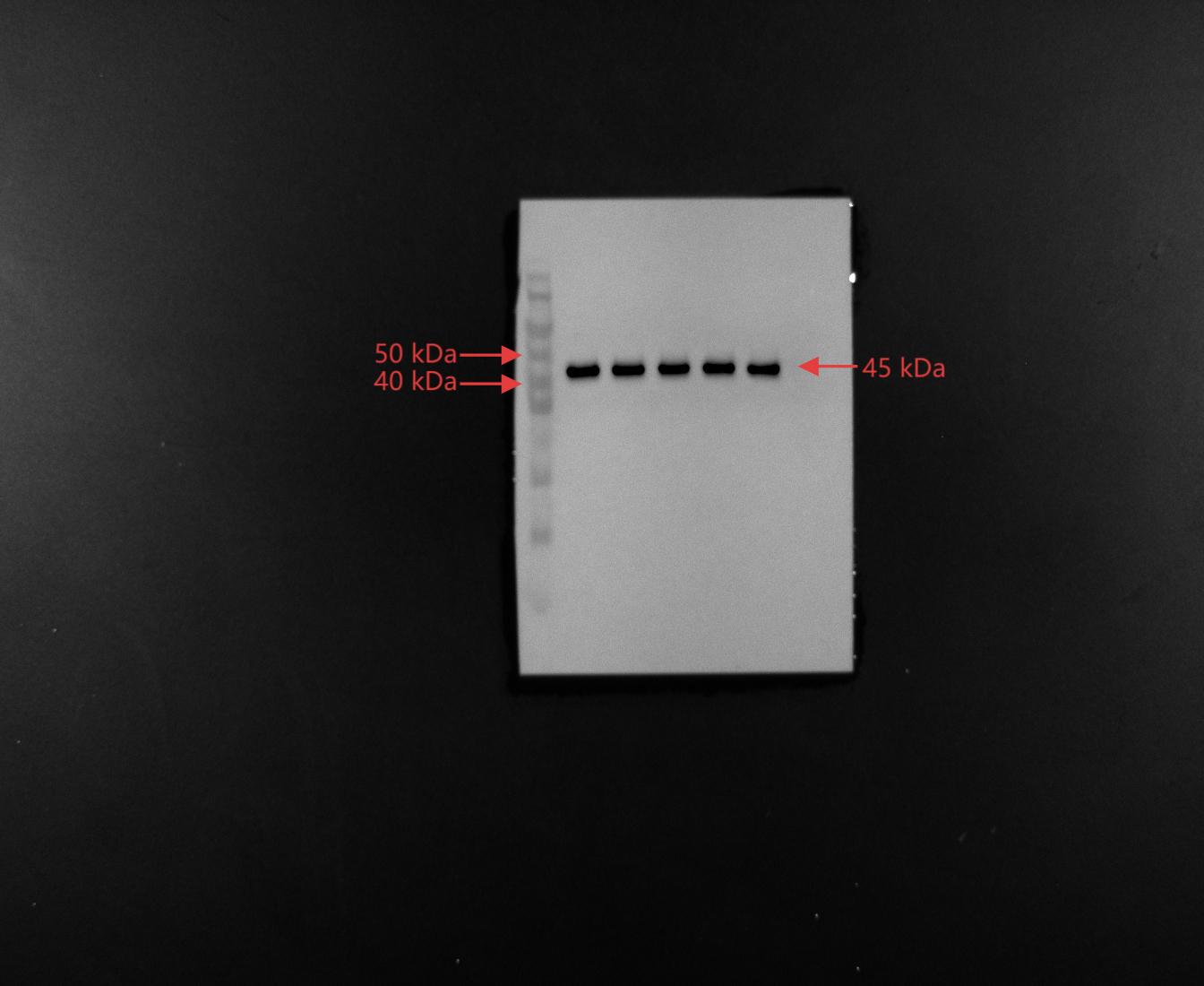 Figure 14