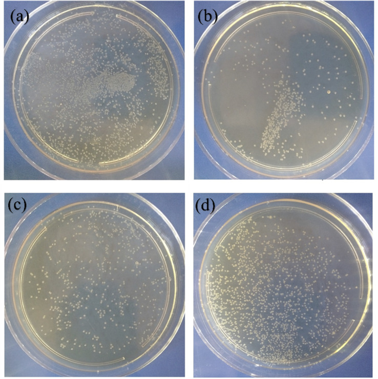 Fig. 10