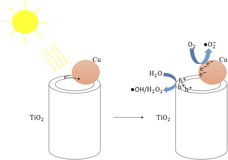 Fig. 12