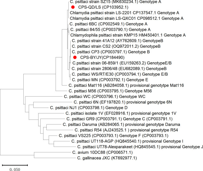 Fig 1