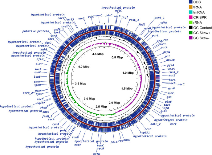 Fig 1