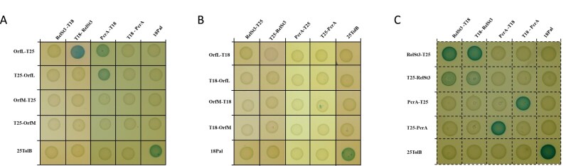 Figure 5