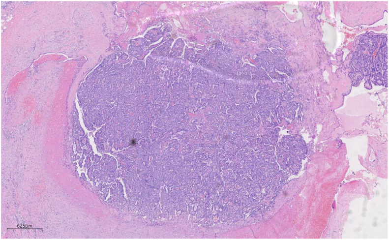 Figure 2