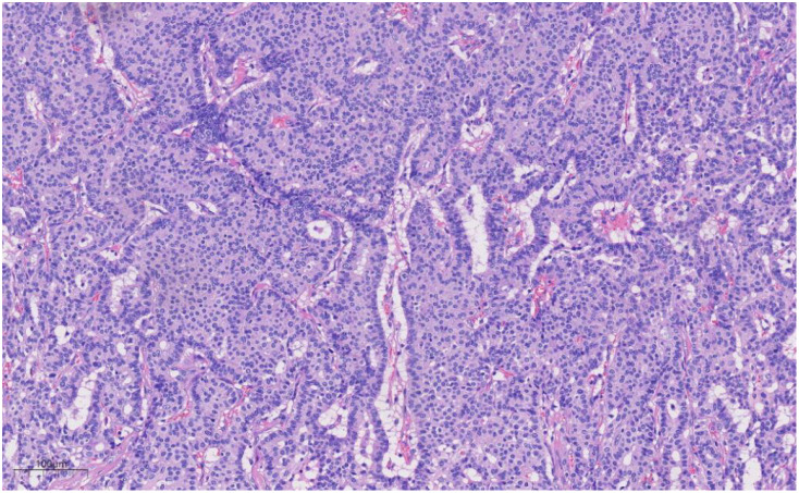 Figure 3