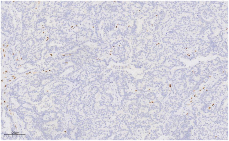 Figure 7