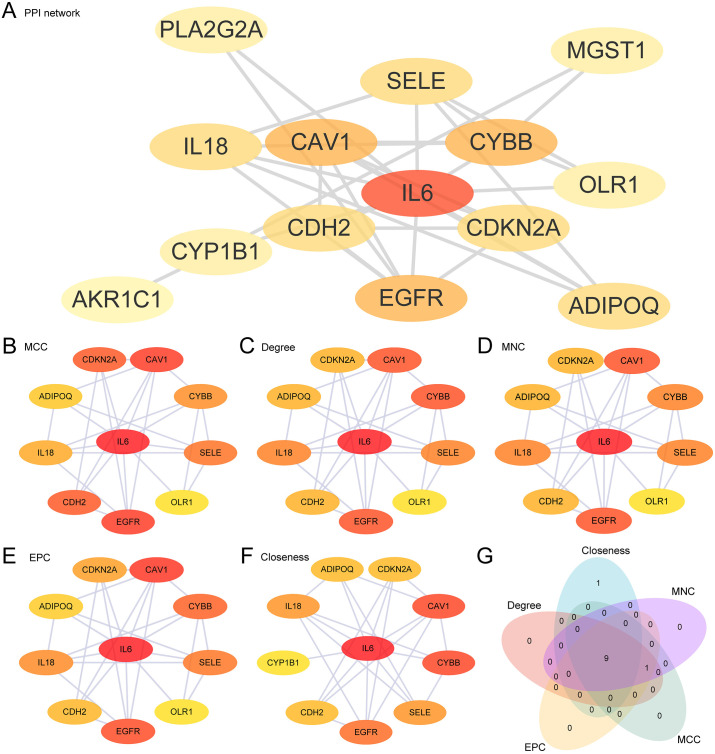 Figure 6
