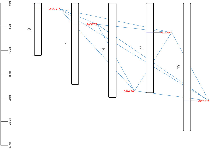 Figure 7