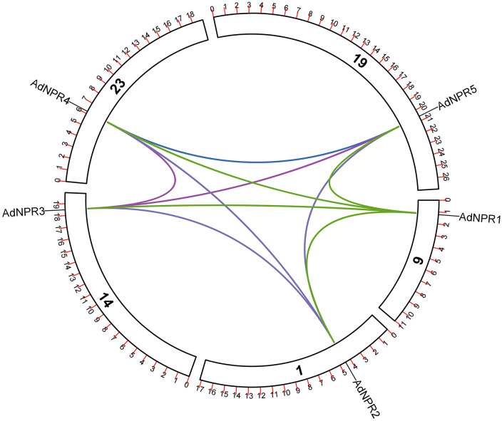 Figure 9