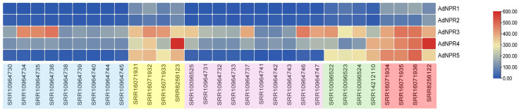 Figure 11