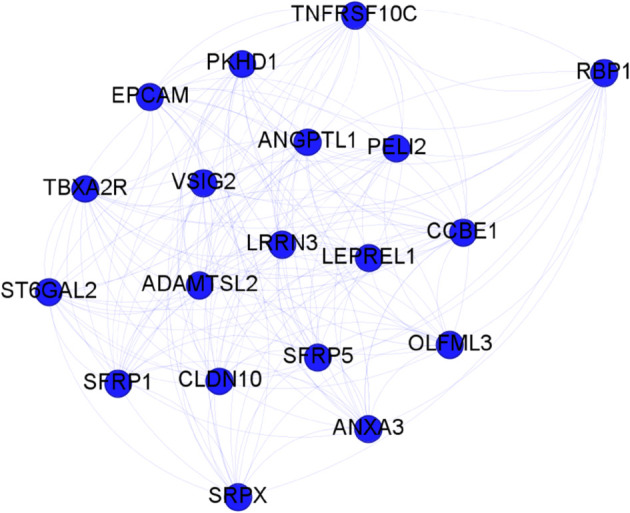 Figure 41