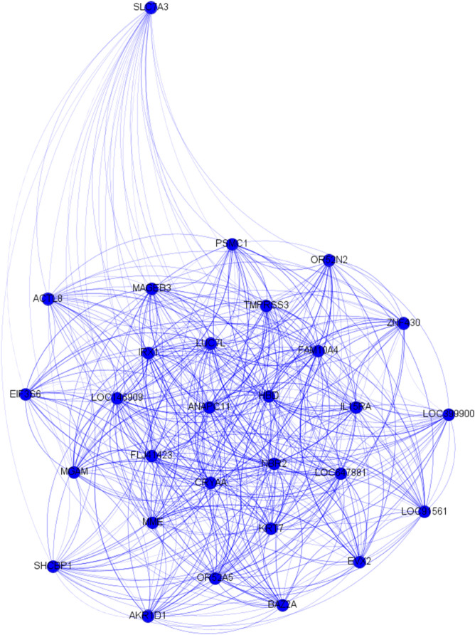 Figure 44