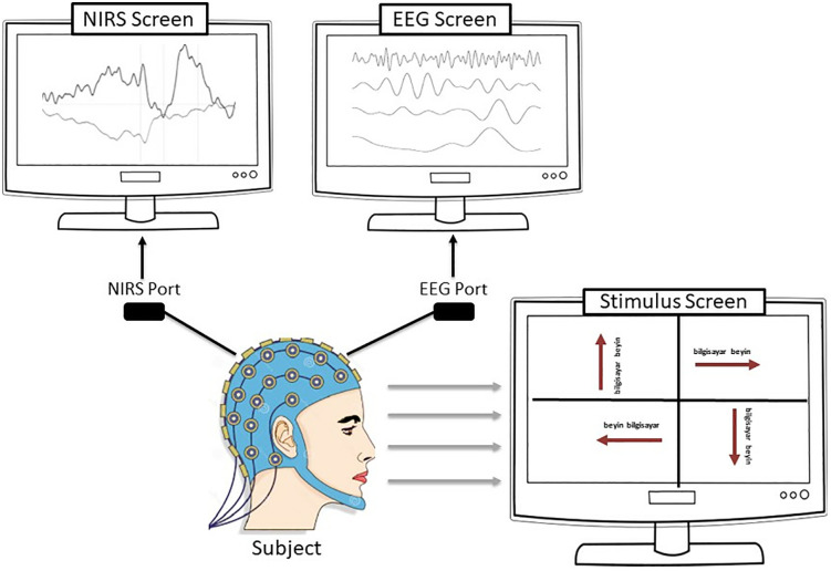 Figure 49