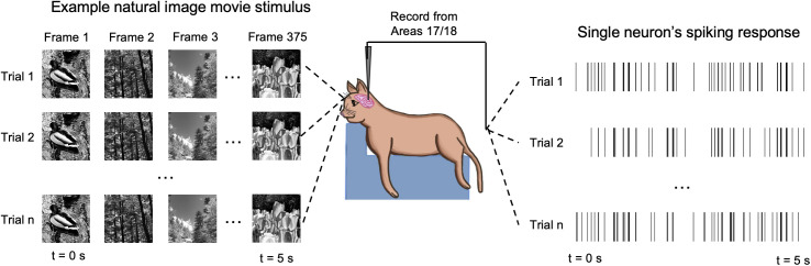 Figure 46