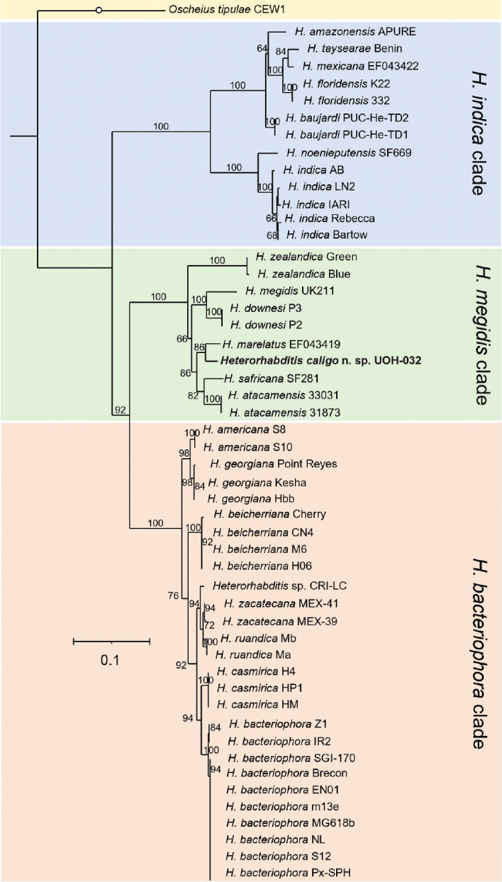 Figure 9