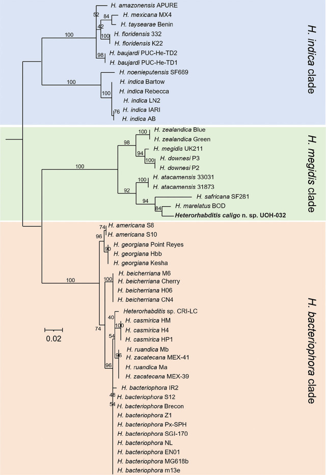 Figure 11