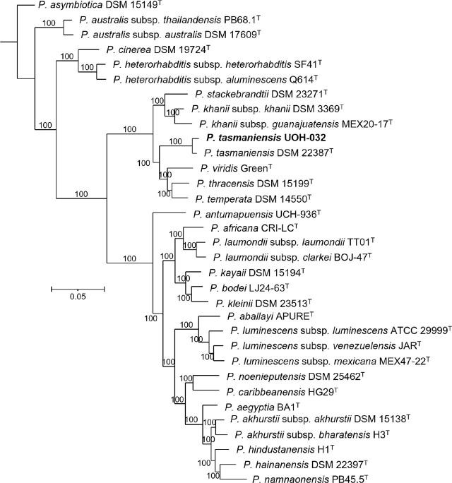 Figure 12