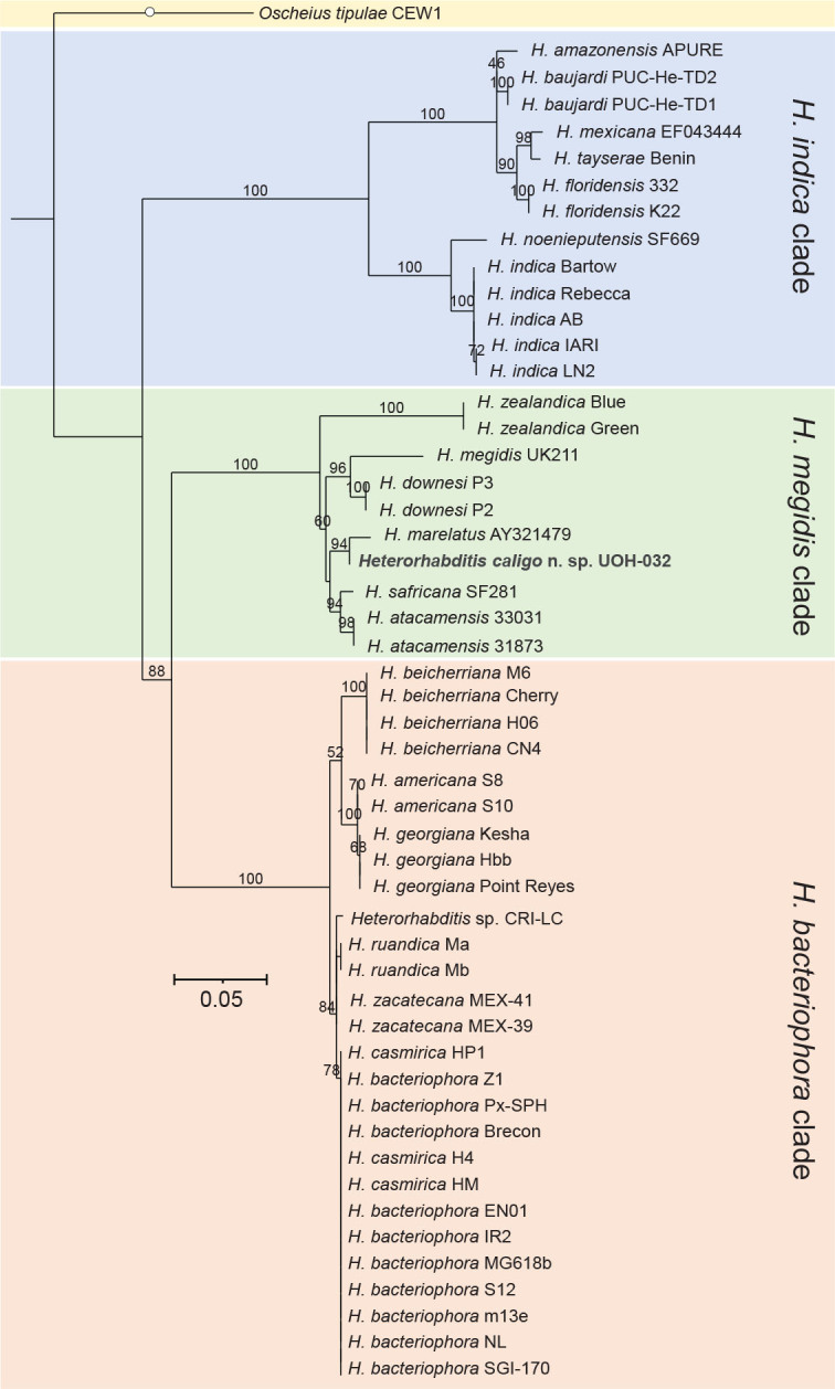 Figure 13