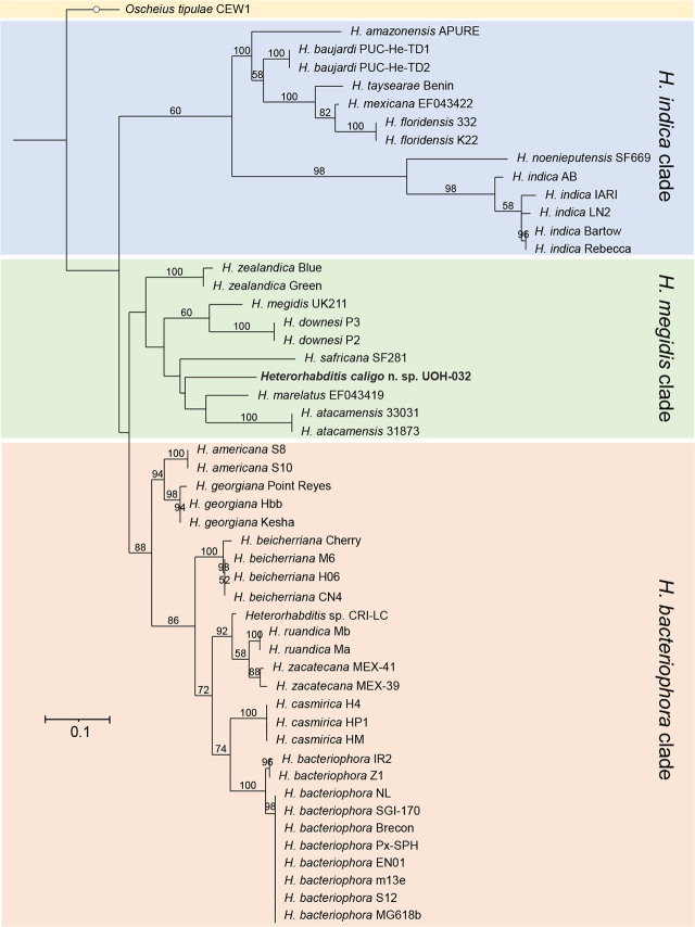 Figure 14
