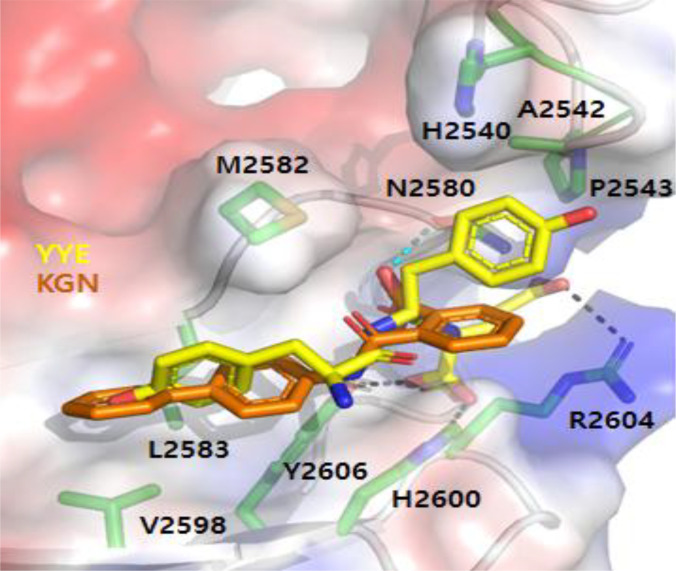 Figure 5