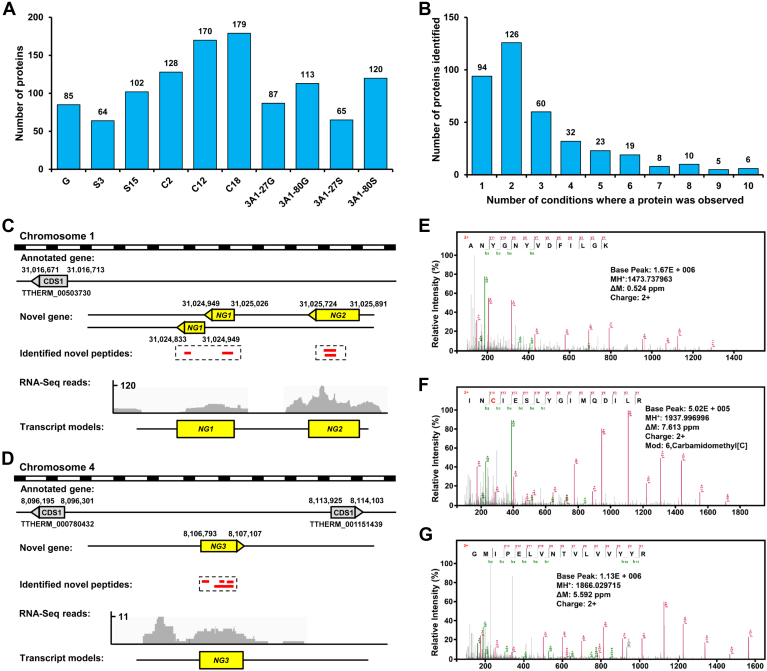Figure 16