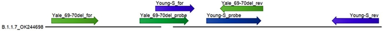 Figure 10