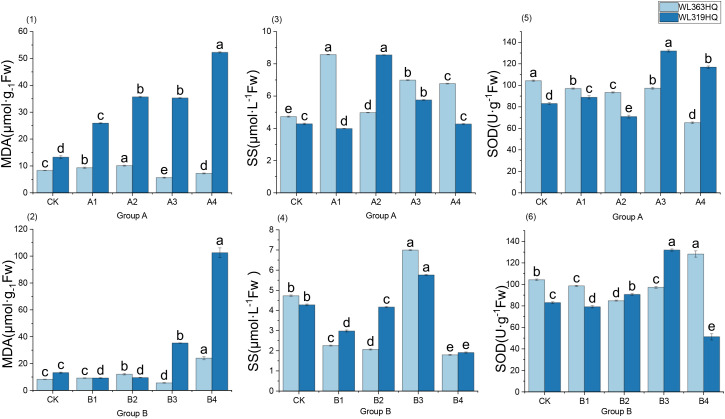 Figure 16