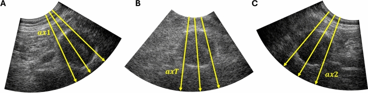 Figure 7