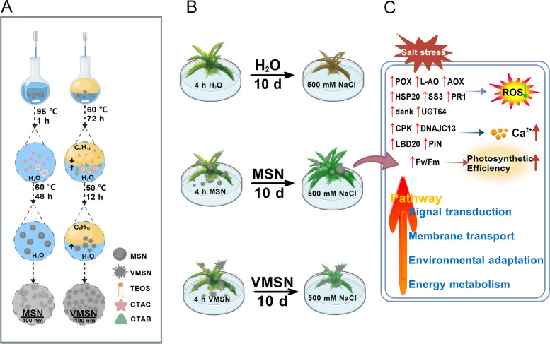 Figure 15