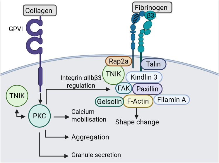 Figure 10