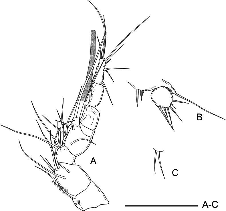 Figure 8
