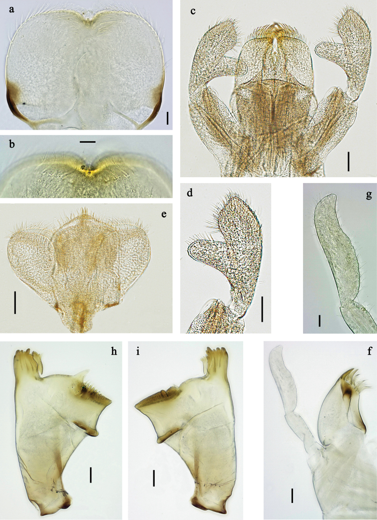 Figure 17