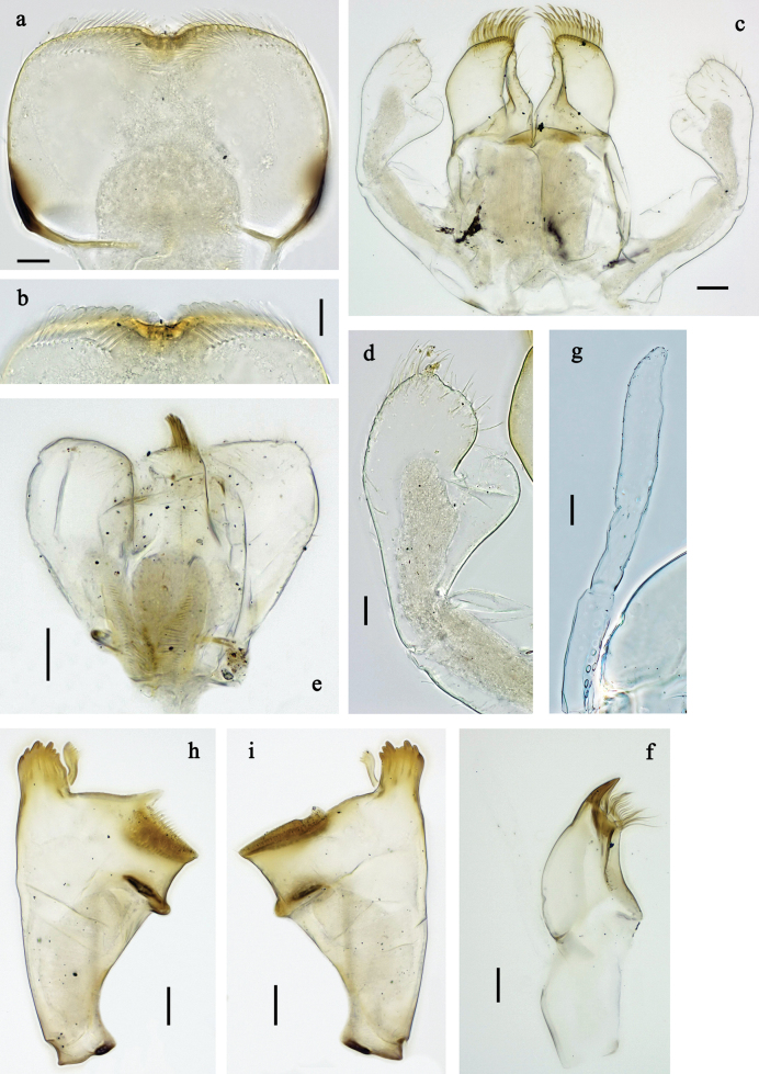 Figure 21